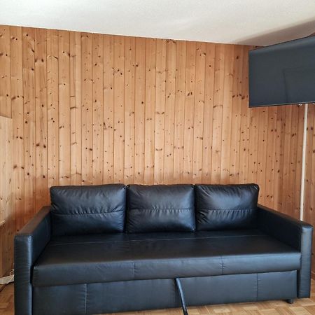 Lake View Apartment -14 Niederried bei Interlaken Екстериор снимка