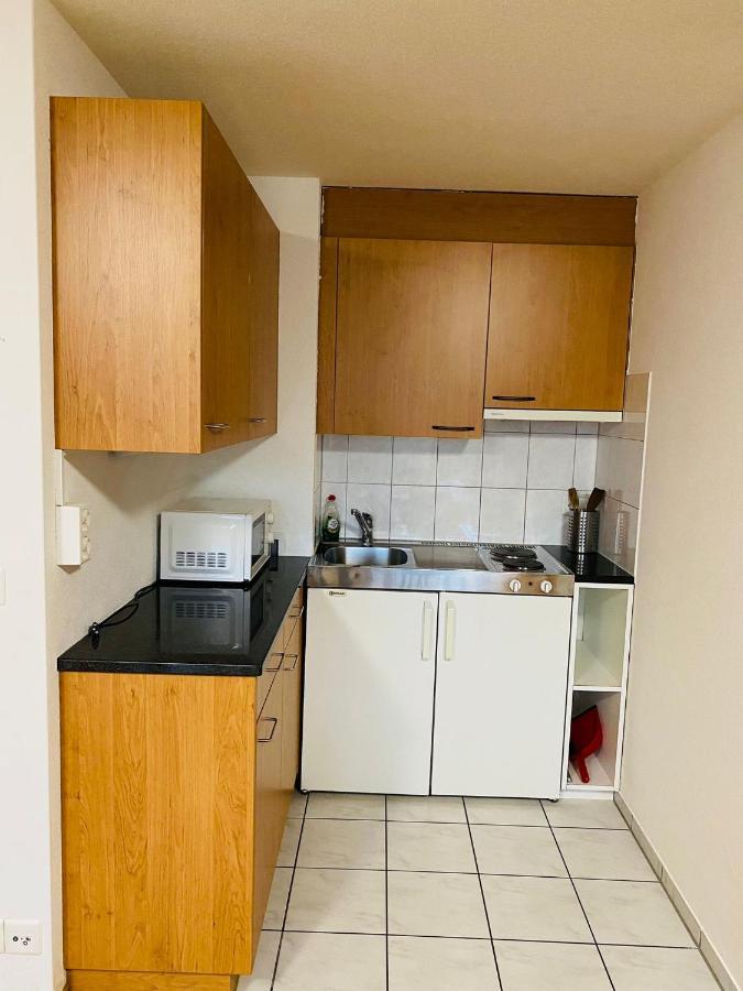 Lake View Apartment -14 Niederried bei Interlaken Екстериор снимка